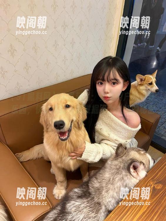 91黑料网：安卓用户的八卦乐园，快来和我一起发掘不为人知的秘密！