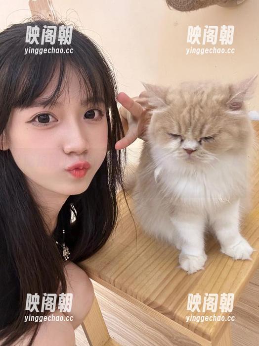 吃瓜网 来吃瓜网首页,看每日大赛,瓜真是百尝不厌!