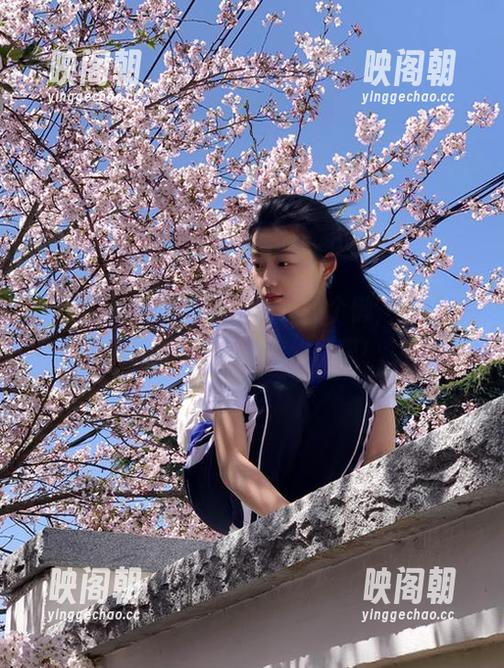 黑料社 软件怎么下载?偷个懒,走我给你找的黑料社传送门吧!